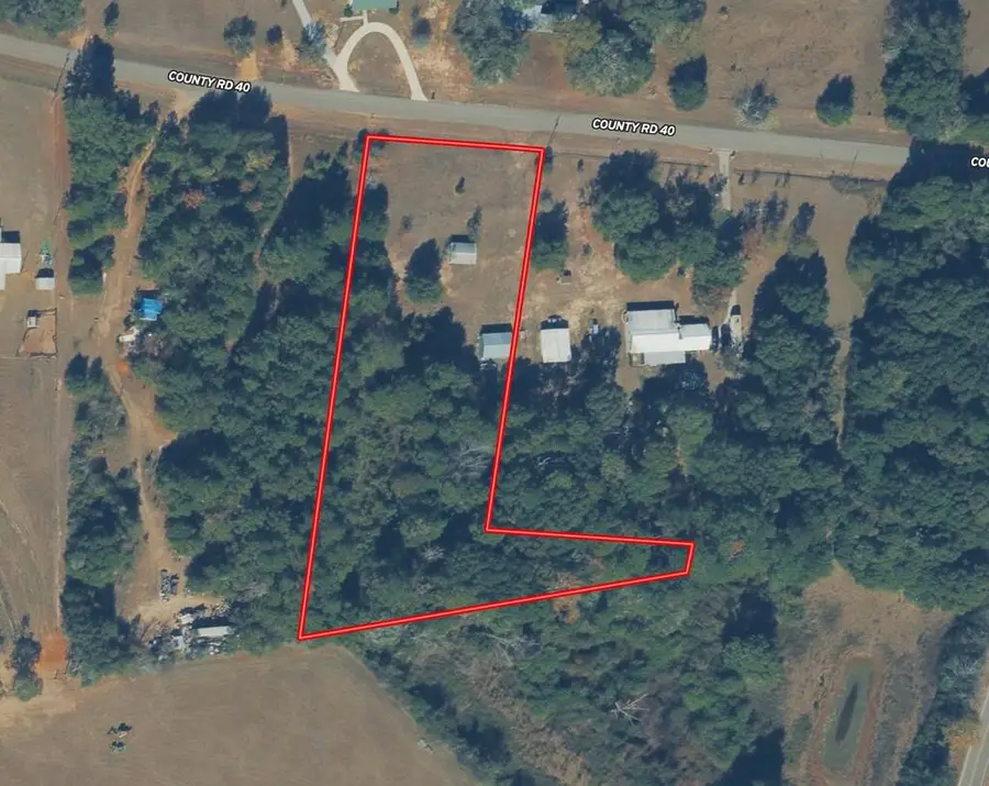 2.73 Acres County Road 40, Chancellor, AL 36316 - #3