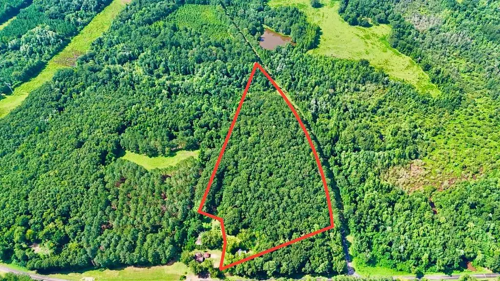 211 County Road 8, Clio, AL 36017 - #1