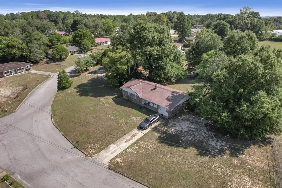 251 Alberta Drive, Ozark, AL 36360 - #2