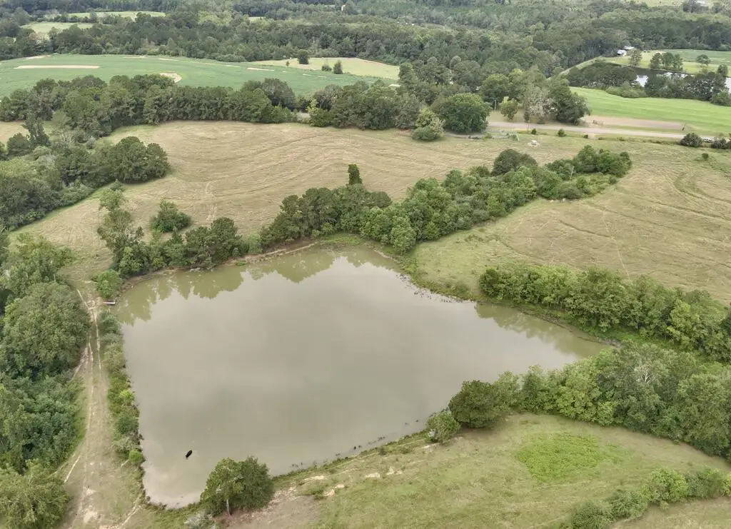 22 Acres County Road 661, Samson, AL 36477 - #1