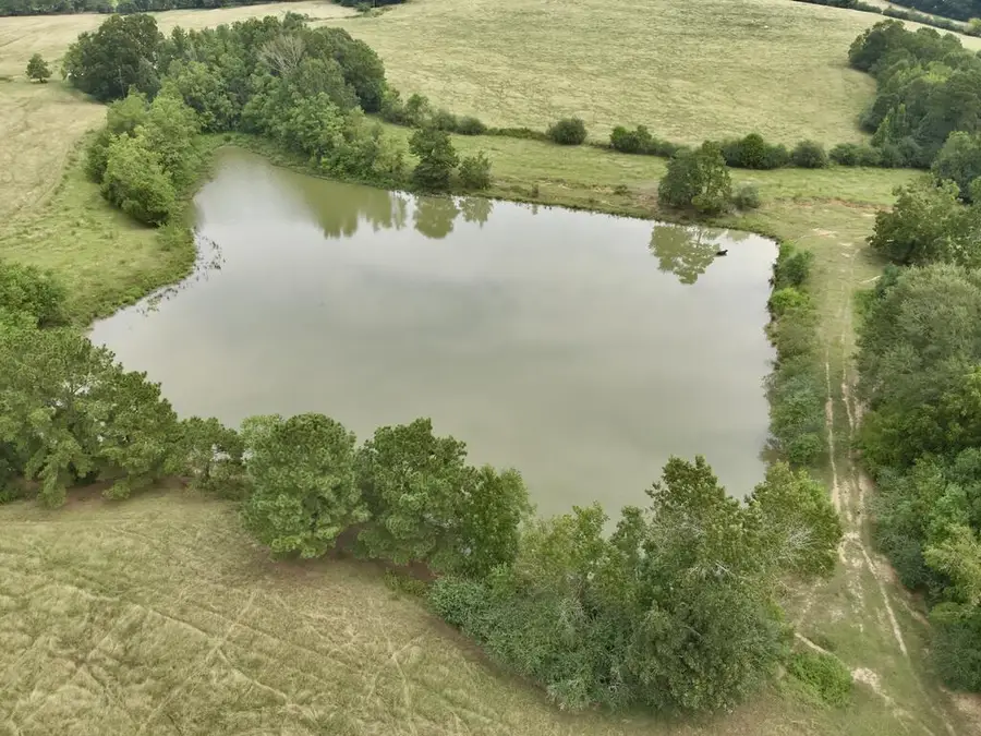 22 Acres County Road 661, Samson, AL 36477 - #2