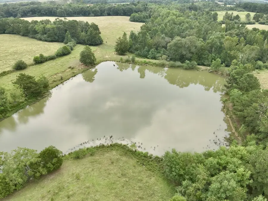 22 Acres County Road 661, Samson, AL 36477 - #3