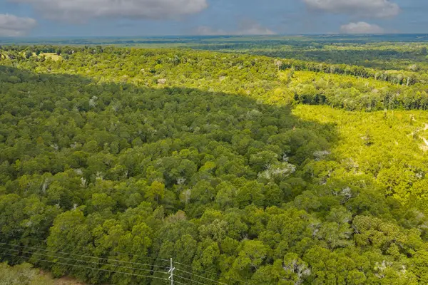 0 Power Dam Road, Newton, AL 36352