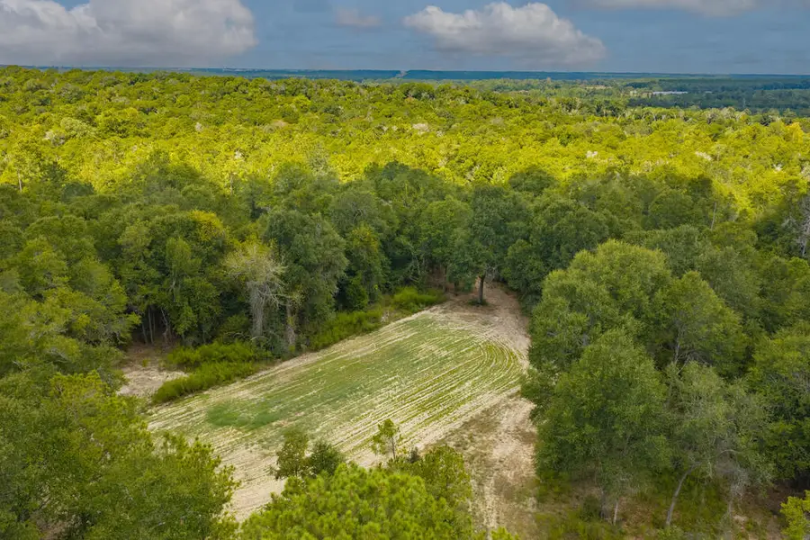 0 Power Dam Road, Newton, AL 36352 - #2