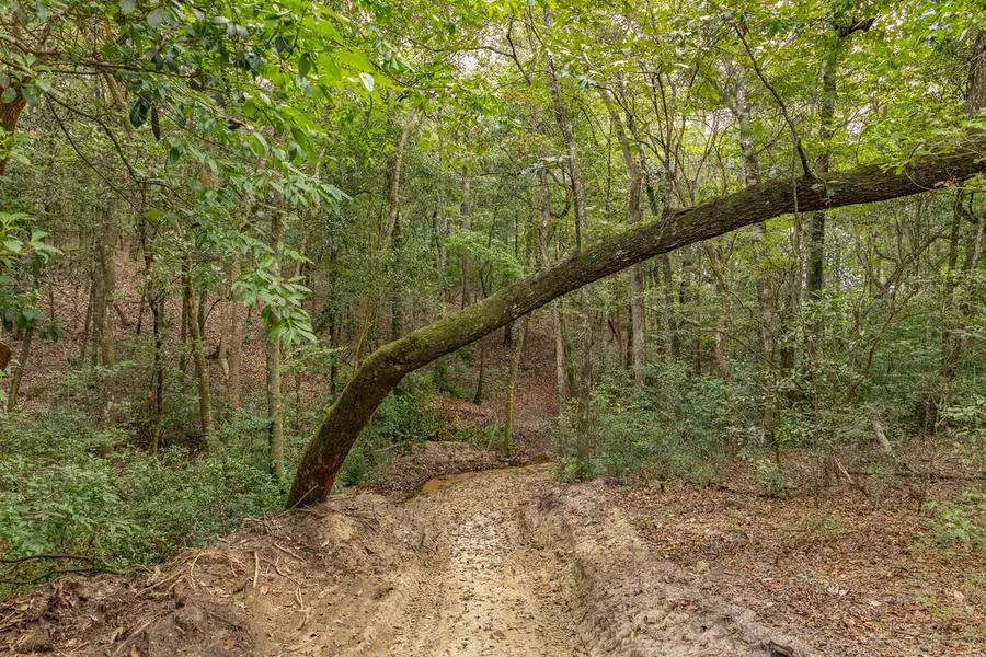 0 Power Dam Road, Newton, AL 36352 - #3
