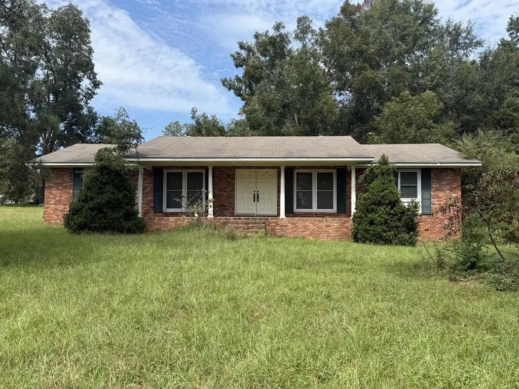85 Beaty Drive, Louisville, AL 36048 - #1