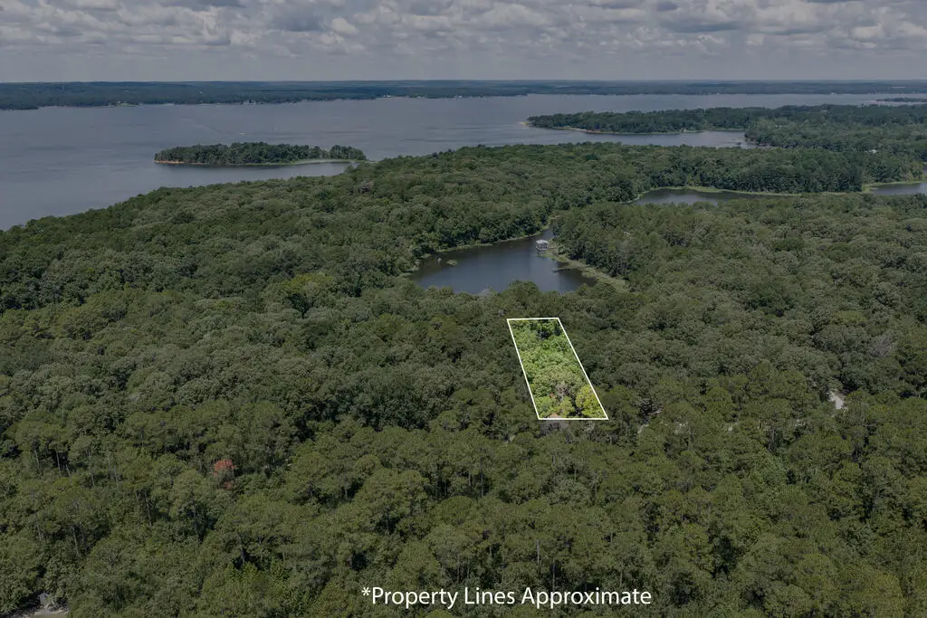 0 Lot 11 Estate Drive, Fort Gaines, GA 39851 - #1