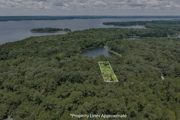 0 Lot 11 Estate Drive, Ft. Gaines, GA 39851