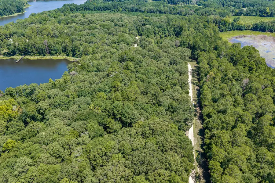 0 Lot 11 Estate Drive, Fort Gaines, GA 39851 - #2