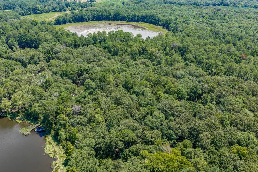 0 Lot 11 Estate Drive, Fort Gaines, GA 39851 - #3