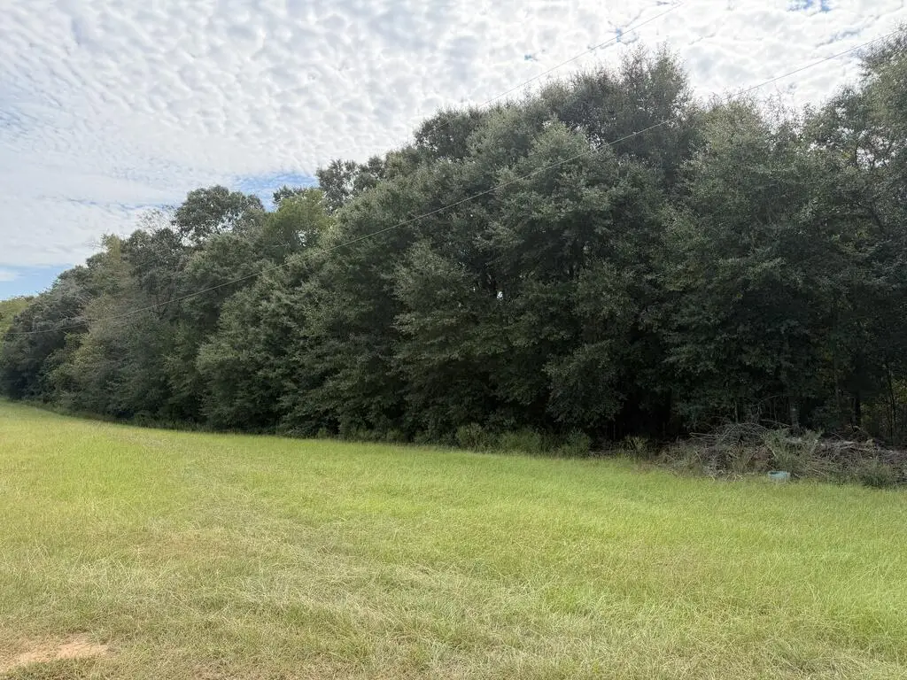 6+-ac Hwy 134, Headland, AL 36345 - #1