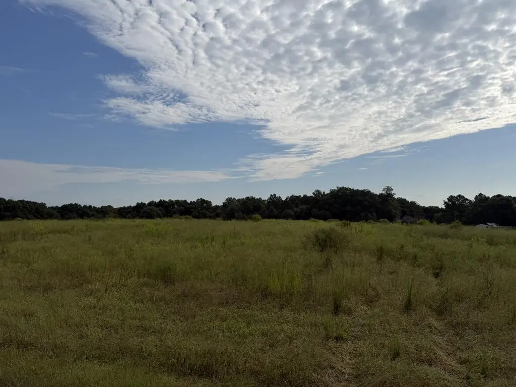 11+-ac Hwy 134, Headland, AL 36345 - #1