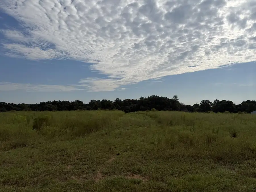 11+-ac Hwy 134, Headland, AL 36345 - #3