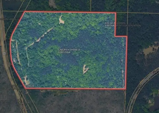 1162 North Union Avenue, Ozark, AL 36360 - #3