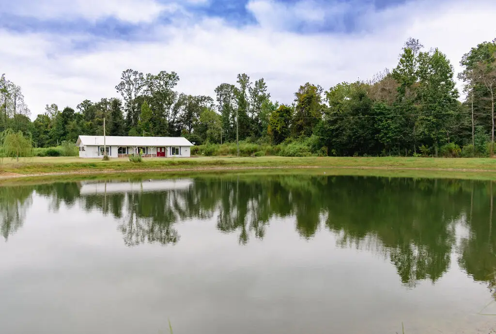 6615 State Line Road, Cottonwood, AL 36320 - #1
