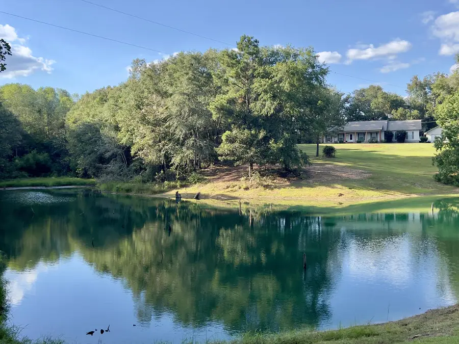 907 Early Walden Rd., Headland, AL 36345 - #2
