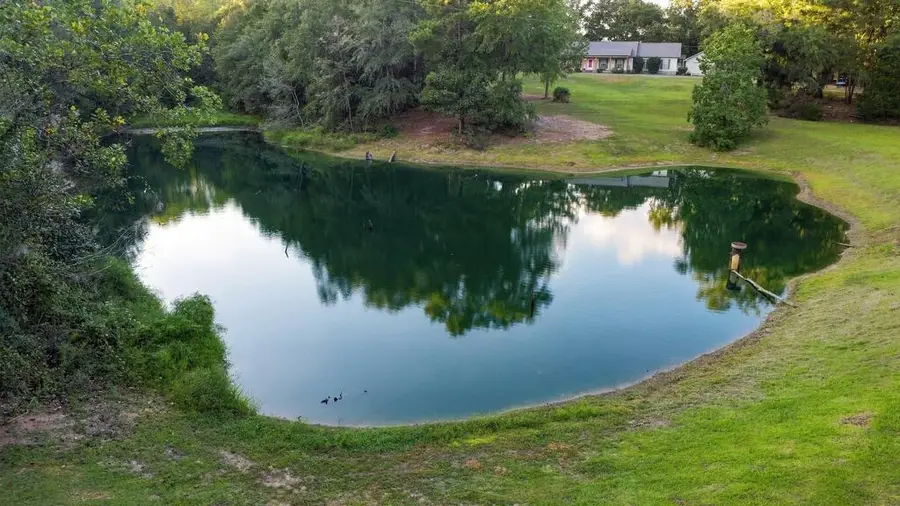 907 Early Walden Rd., Headland, AL 36345 - #3