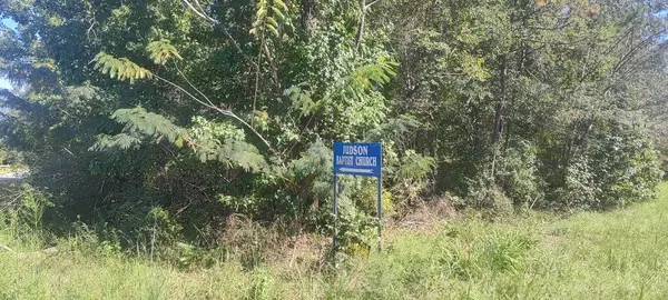 TBD Highway 95, Abbeville, AL 36310