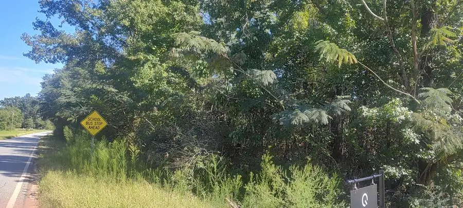 TBD Highway 95, Abbeville, AL 36310 - #2