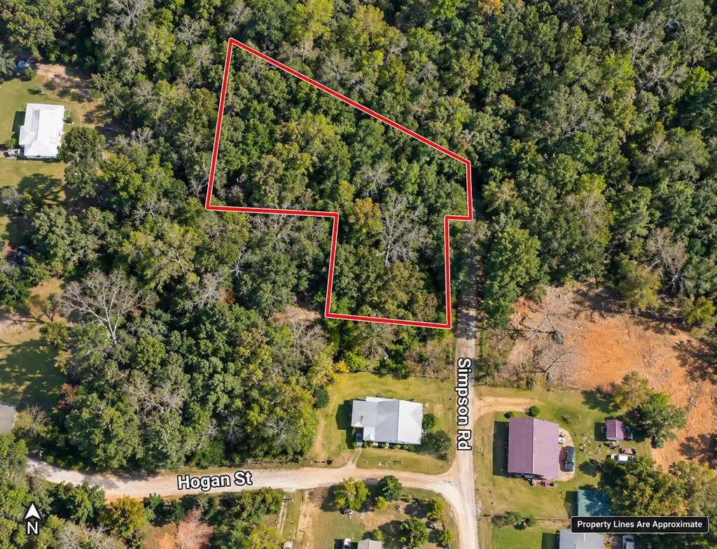 0 Butler St., Cottonwood, AL 36320 - #1