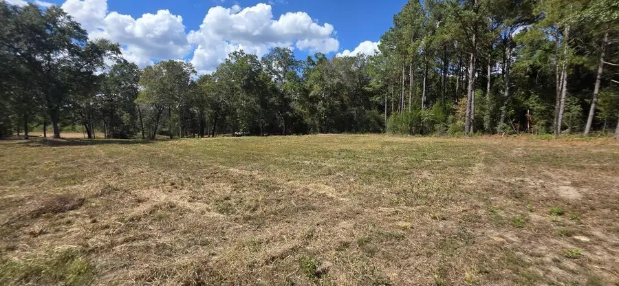 1.15 Acres Twin Creek Rd, Newton, AL 36352 - #2