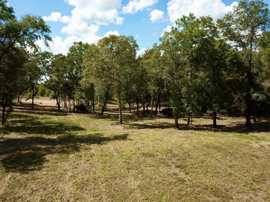 1.15 Acres Twin Creek Rd, Newton, AL 36352 - #3
