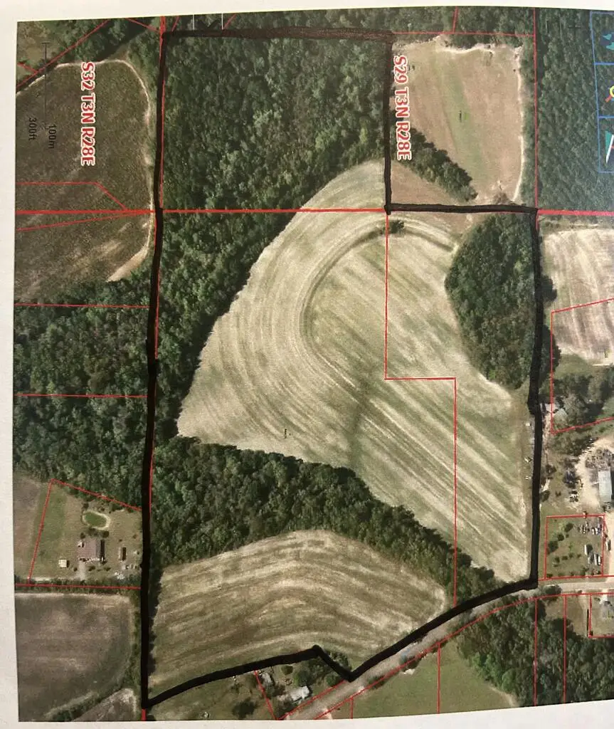0 1st Ave, Ashford, AL 36312 - #1