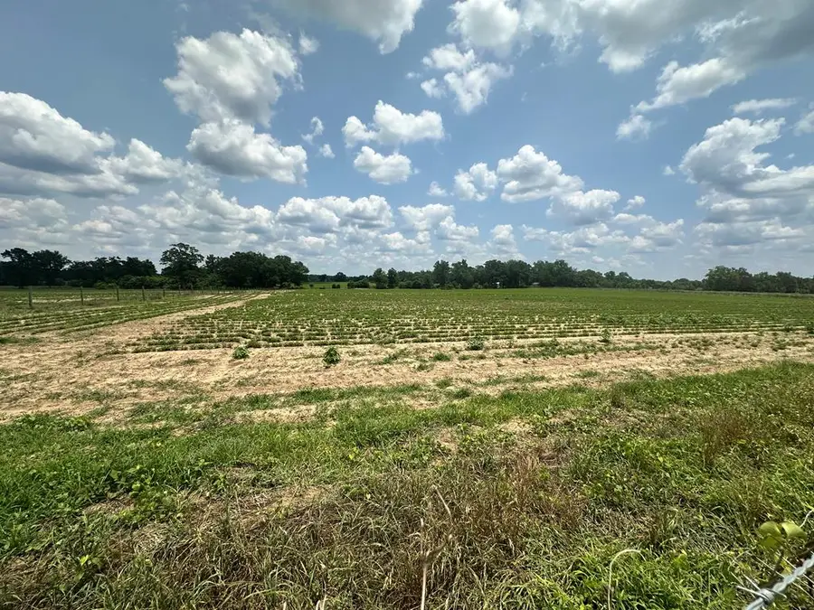 8 Acres J Saunders, Dothan, AL 36305 - #3