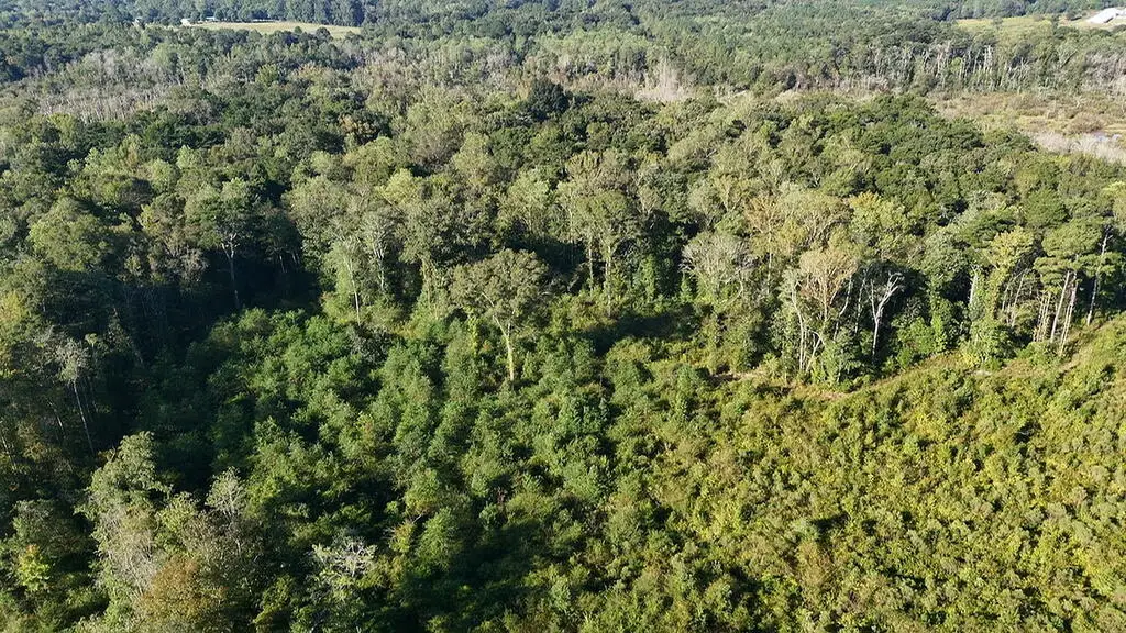 314 County Road 70, Ariton, AL 36311 - #1