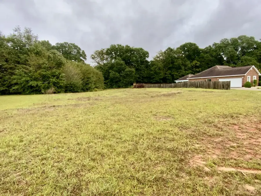 0 Rosa, Midland City, AL 36350 - #2