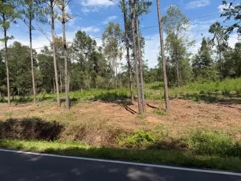 0 Huskey & Drew Rd, Dothan, AL 36303 - #1