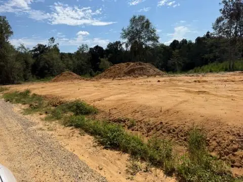 0 Huskey & Drew Rd, Dothan, AL 36303 - #2