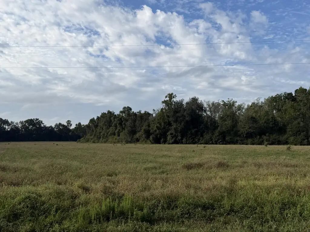 31.82+-ac D Hodge Rd, Cottonwood, AL 36320 - #1