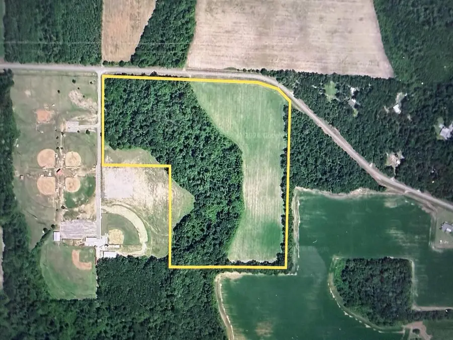 31.82+-ac D Hodge Rd, Cottonwood, AL 36320 - #2