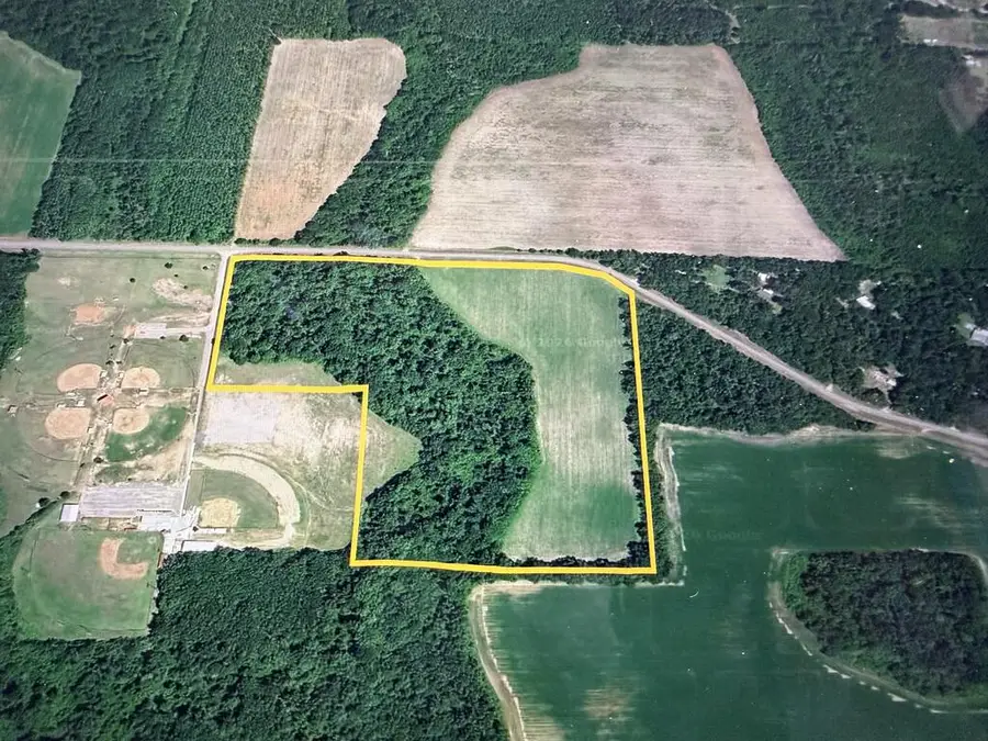 31.82+-ac D Hodge Rd, Cottonwood, AL 36320 - #3
