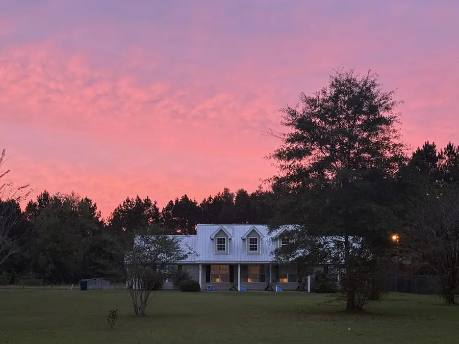 1724 Hopkins Rd, Webb, AL 36376 - #2