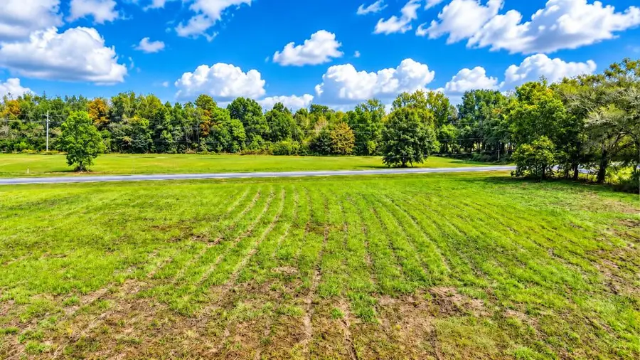 1.91 S State Highway 103, Slocomb, AL 36375 - #3