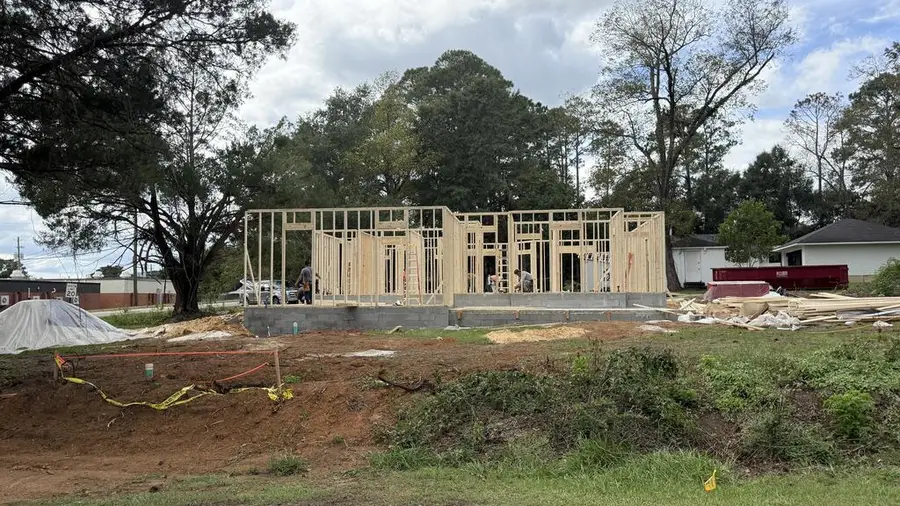 803 8th Avenue, Ashford, AL 36312 - #2