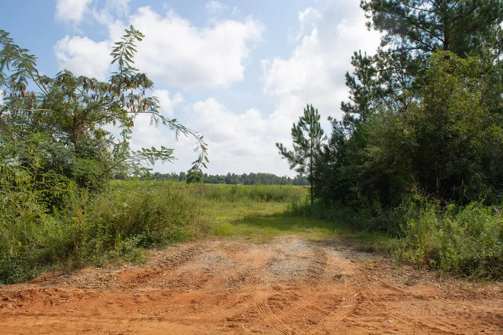 Vacant Pittman Hill Rd, Marianna, FL 32448 - #1