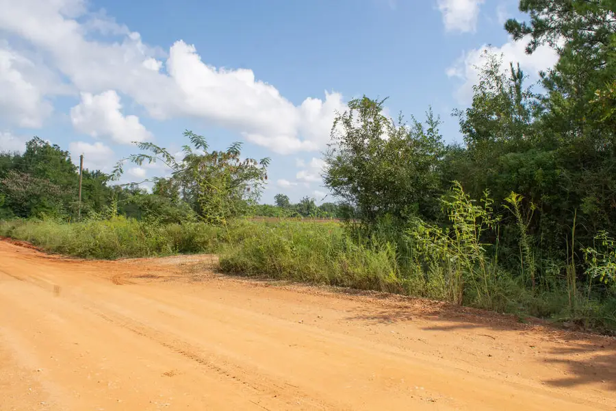 Vacant Pittman Hill Rd, Marianna, FL 32448 - #2
