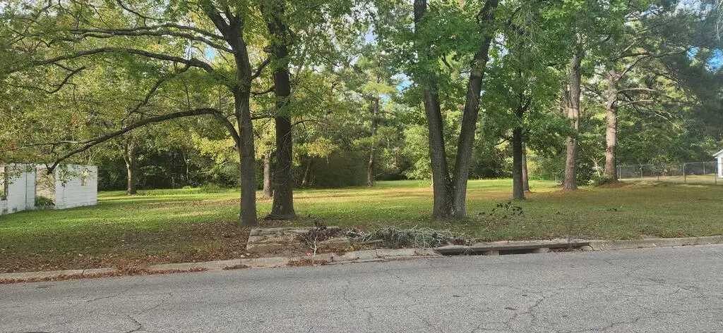 317 E Spring 0 E Spring Street, Dothan, AL 36303 - #1
