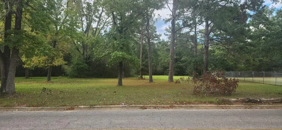 317 E Spring 0 E Spring Street, Dothan, AL 36303 - #2