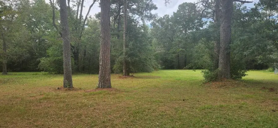 317 E Spring 0 E Spring Street, Dothan, AL 36303 - #3