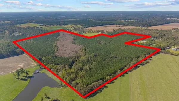 000 Willie Varnum Road, Cottonwood, AL 36301