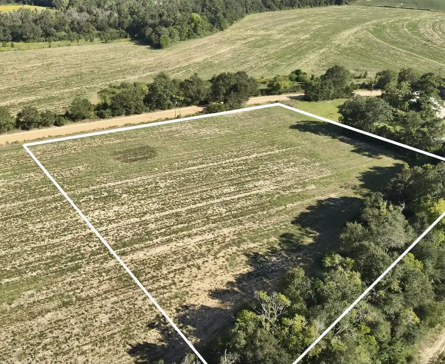 3.27 Acres Dillard Road, Pansey, AL 36370 - #2