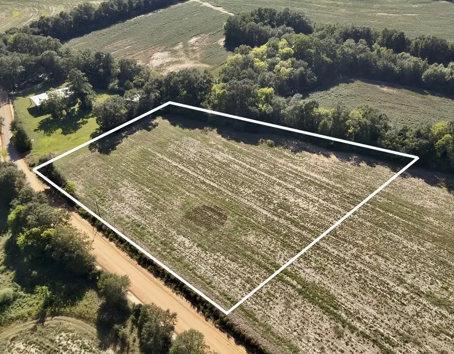 3.27 Acres Dillard Road, Pansey, AL 36370 - #3