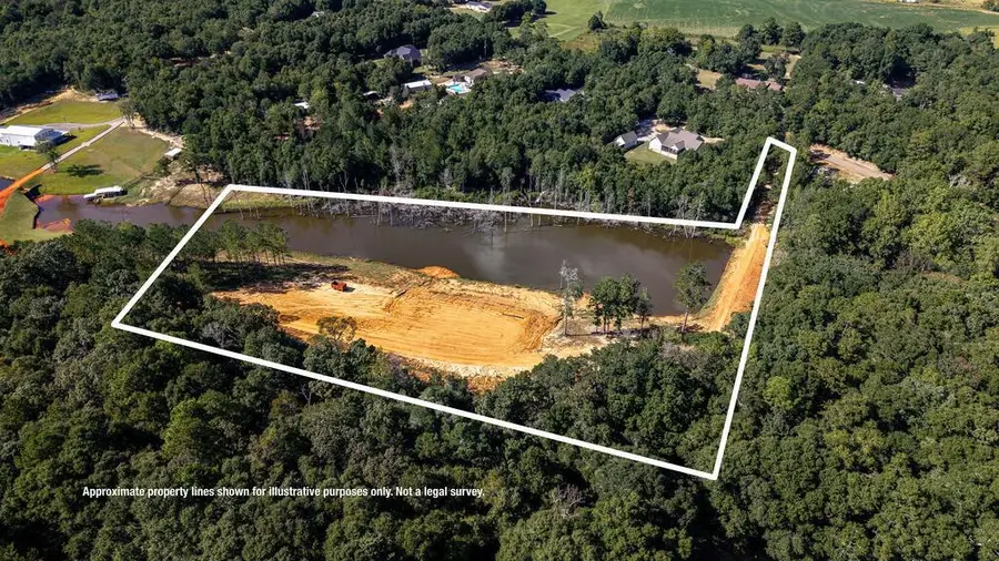0 Holland Road, Newton, AL 36352 - #2