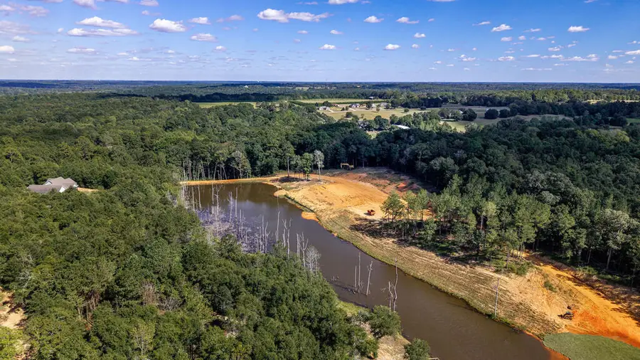 0 Holland Road, Newton, AL 36352 - #3