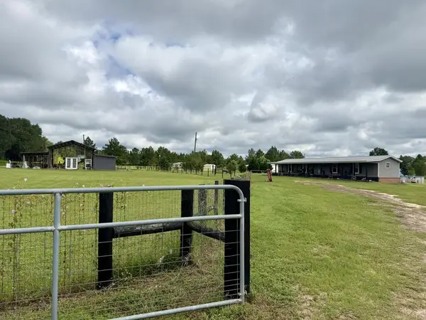 1287 Dock Lamb Road, Pansey, AL 36370