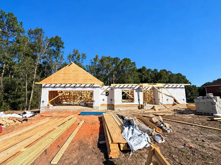 119 Jim Bob Kelly Road, Geneva, AL 36340 - #3